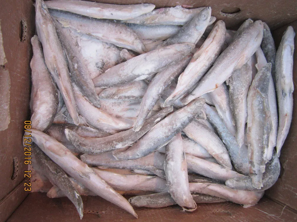 фотография продукта Северная рыба